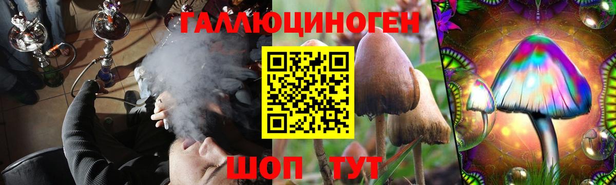 Псилоцибиновые грибы MAGIC MUSHROOMS Северск