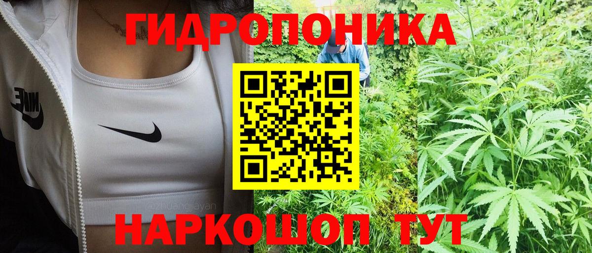 Конопля Amnesia  Вход с VPN  Каннабис AK-47  Северск  Каннабис SATIVA & INDICA  Шишки марихуана VHQ 